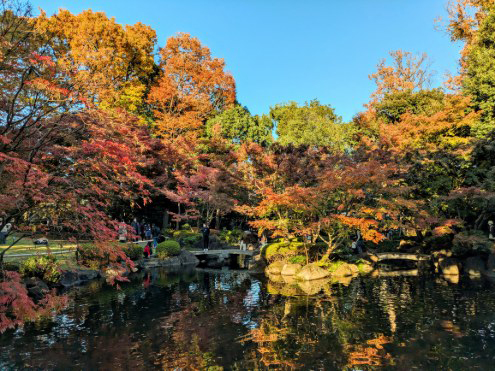 大田黒公園 庭池